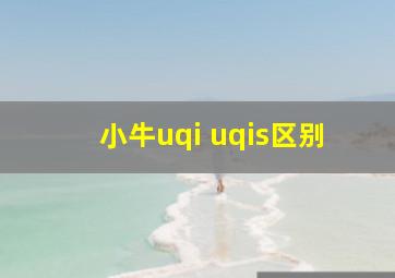 小牛uqi uqis区别